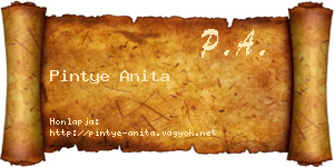 Pintye Anita névjegykártya